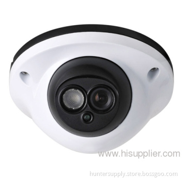 Ir Array Vandalproof Dome Ccd Cameras 